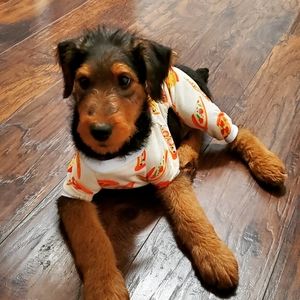 Pizza dog pijamas